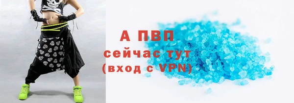 гидра Заводоуковск