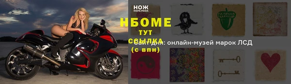 гидра Заводоуковск
