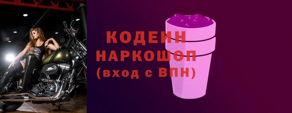гидра Заводоуковск