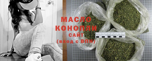 гидра Заводоуковск