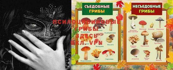 гидра Заволжск