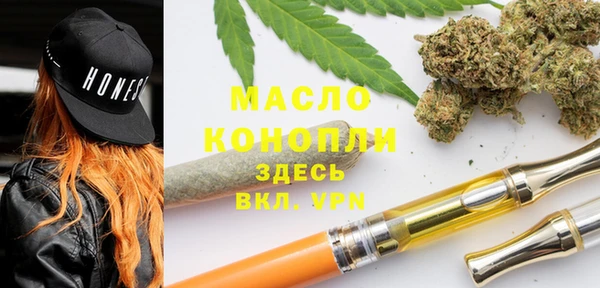 гидра Заводоуковск