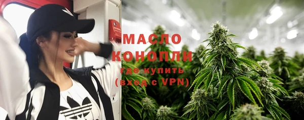 гидра Заводоуковск