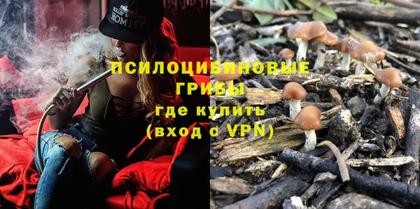 гидра Заводоуковск
