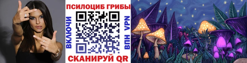 Псилоцибиновые грибы ЛСД  Купить закладки  Назарово 